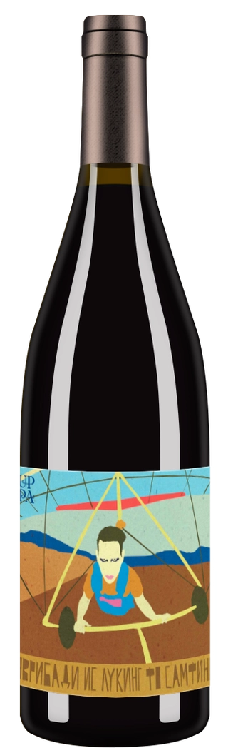 Barbera "Эврибади ис лукинг фо самфинг" 2017