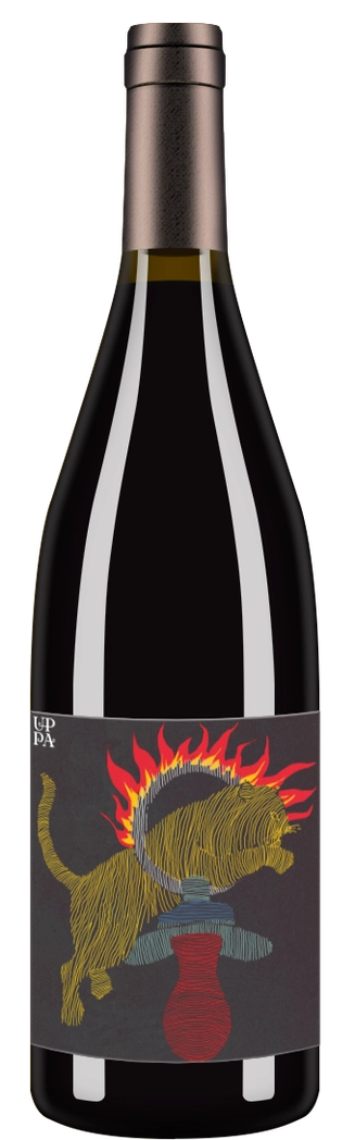 Cabernet Sauvignon 2019