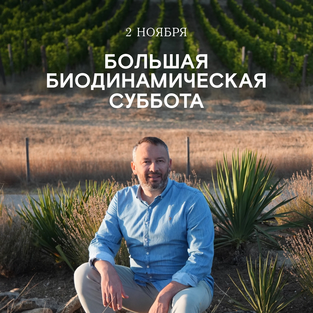 Большая биодинамическая суббота в Москве 2 ноября 2024