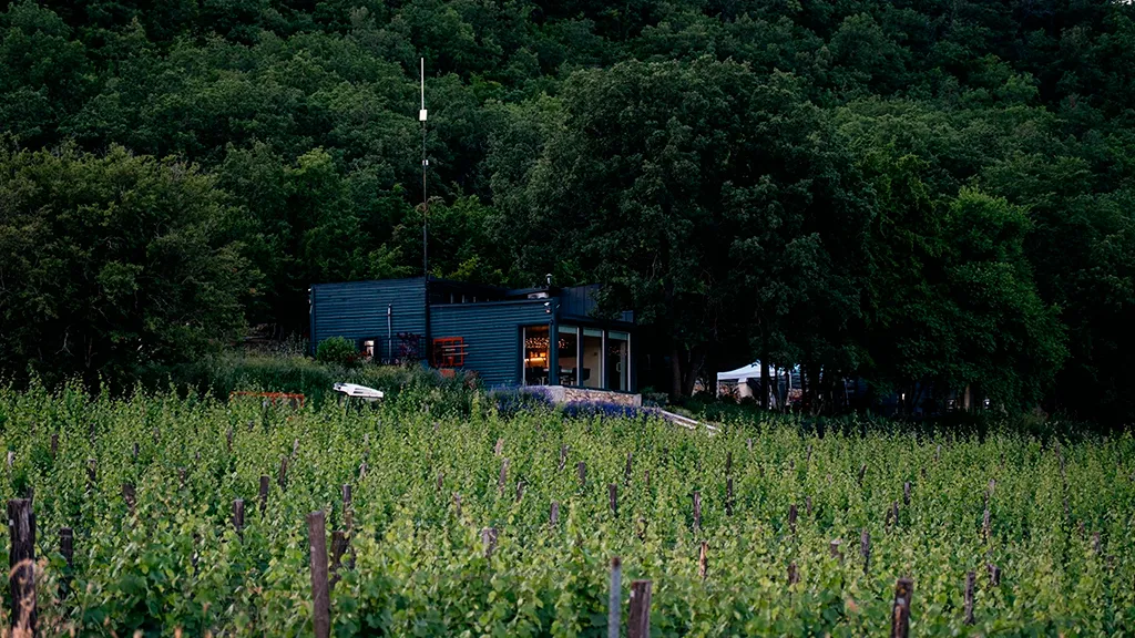 Виноградники Uppa Winery