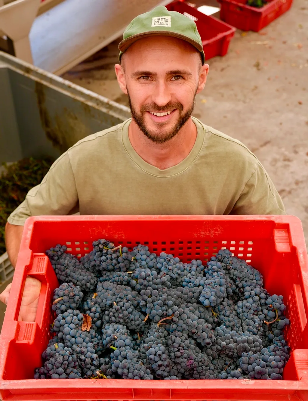 Производство Uppa Winery