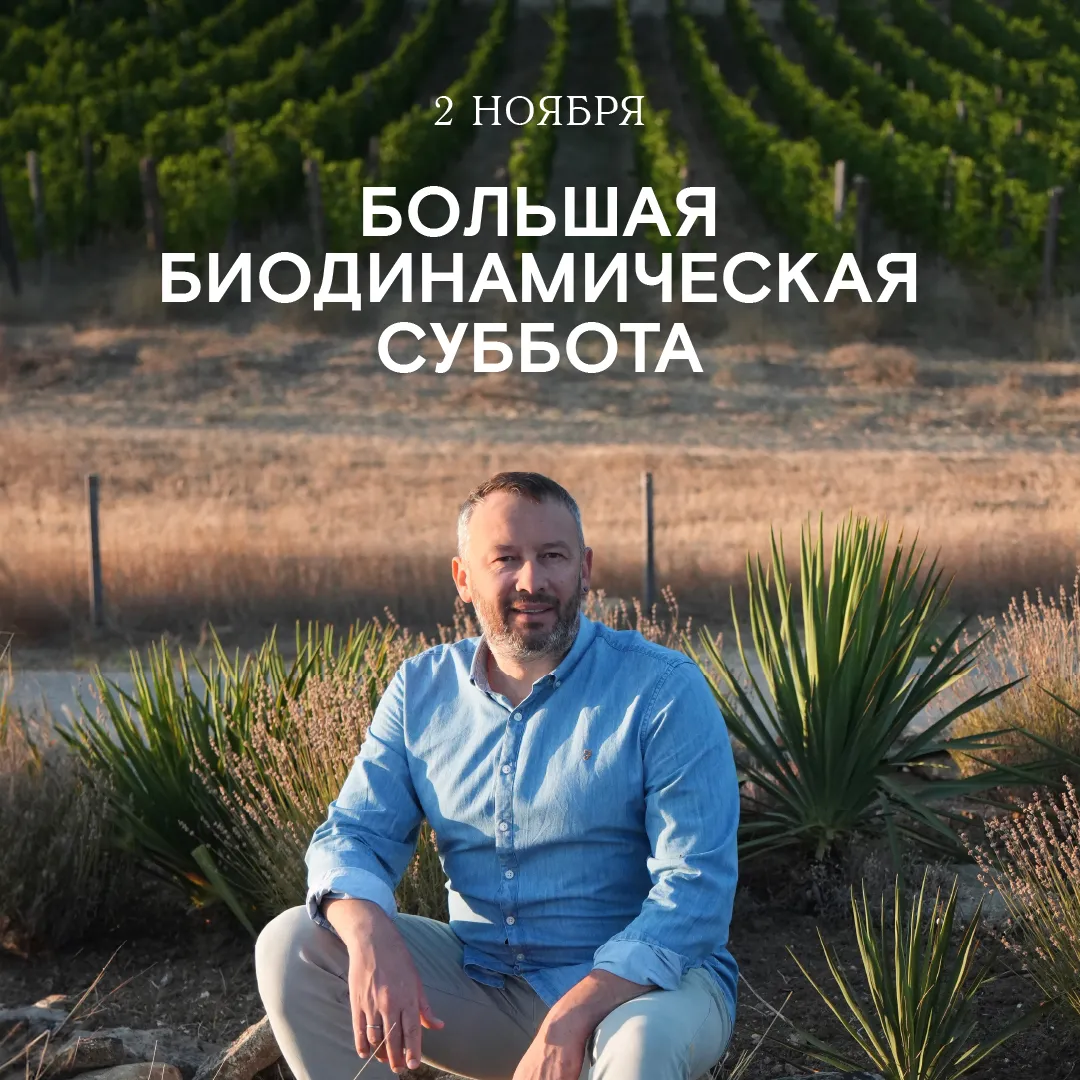 Большая биодинамическая суббота в Москве 2 ноября 2024