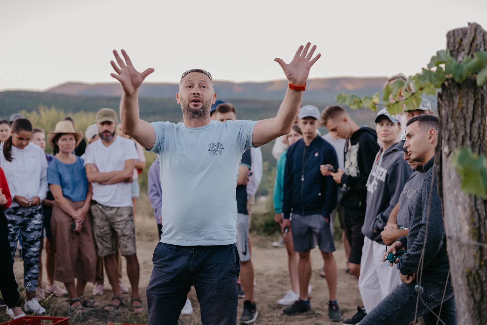 Наш манифест!