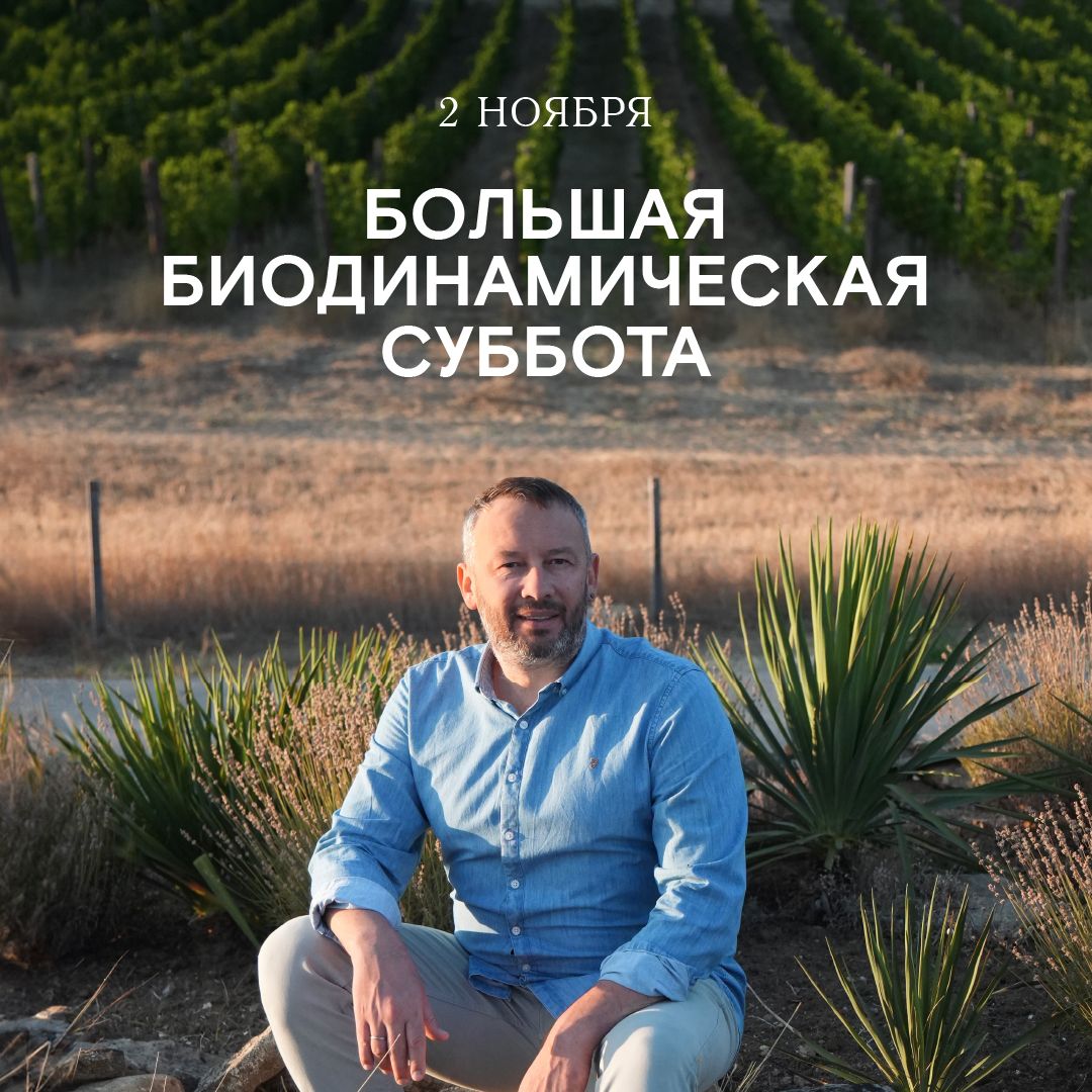 Большая биодинамическая суббота в Москве 2 ноября 2024