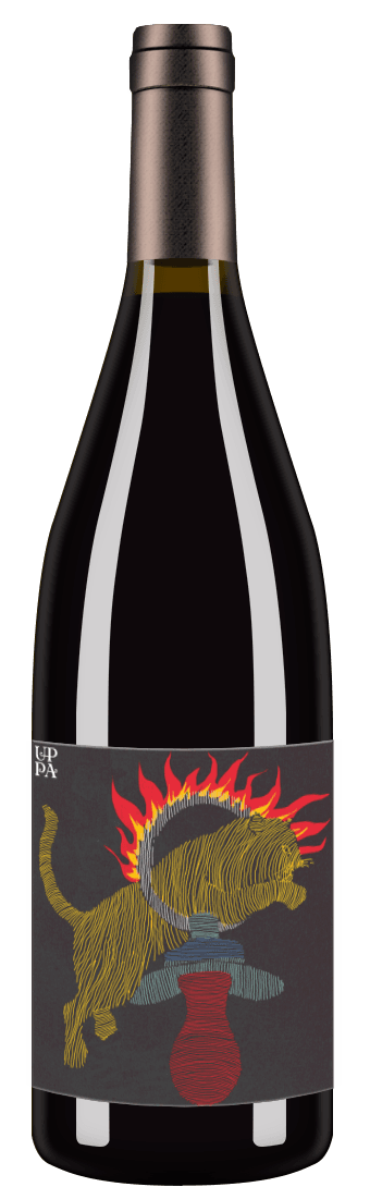 Cabernet Sauvignon 2019