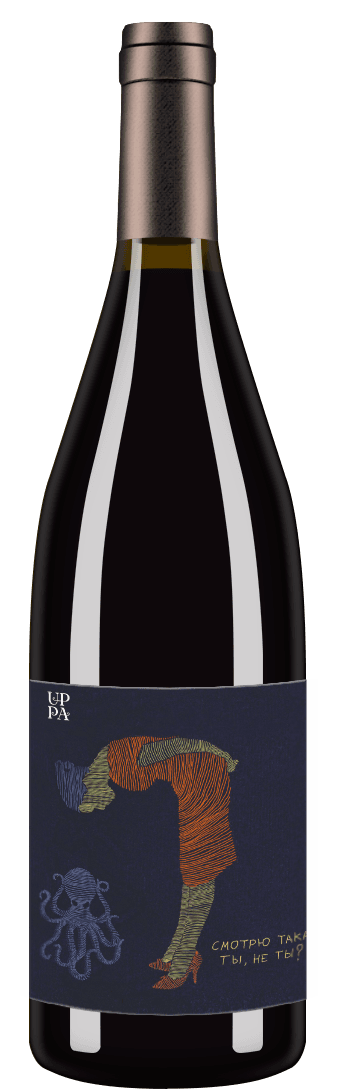 Pinot Noir «Смотрю такая ты, не ты» 2019