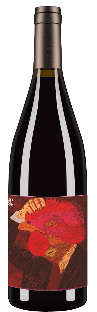 Pinot Noir Birds 2020
