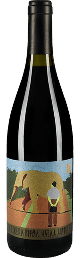 Pavel Shvets Cabernet Sauvignon "Назад дороги нет" 2016