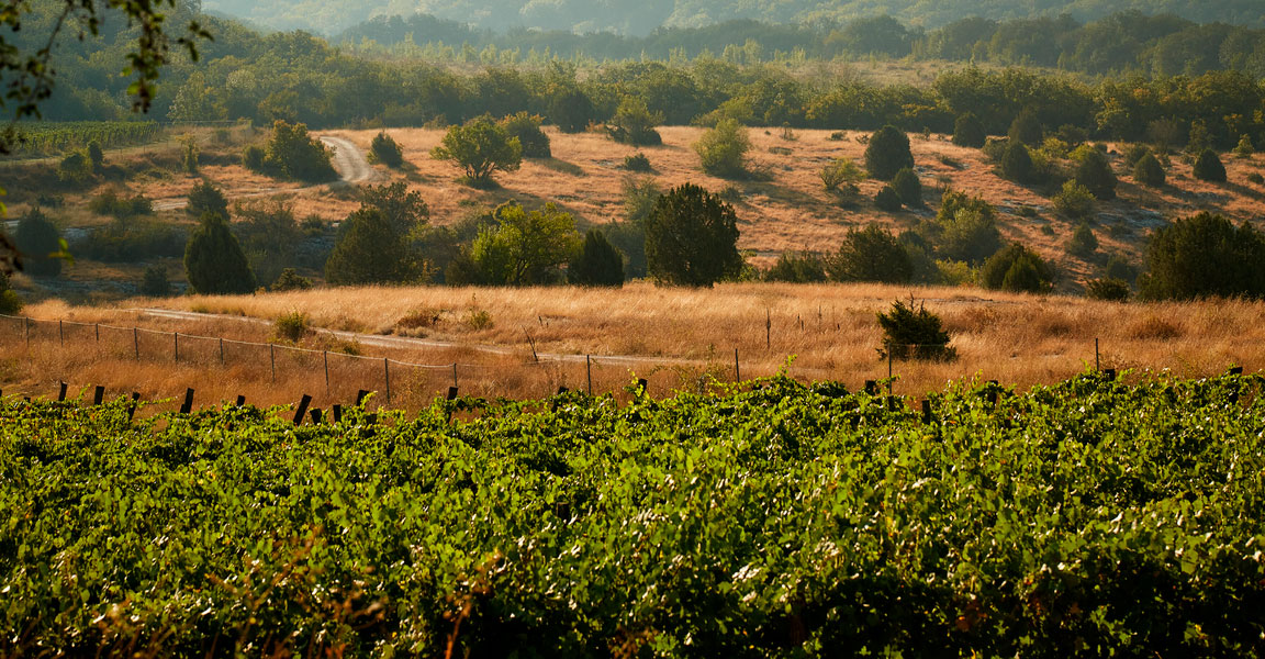 Uppa Winery