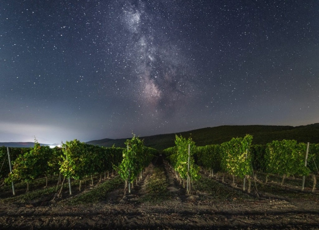Виноградники Uppa Winery
