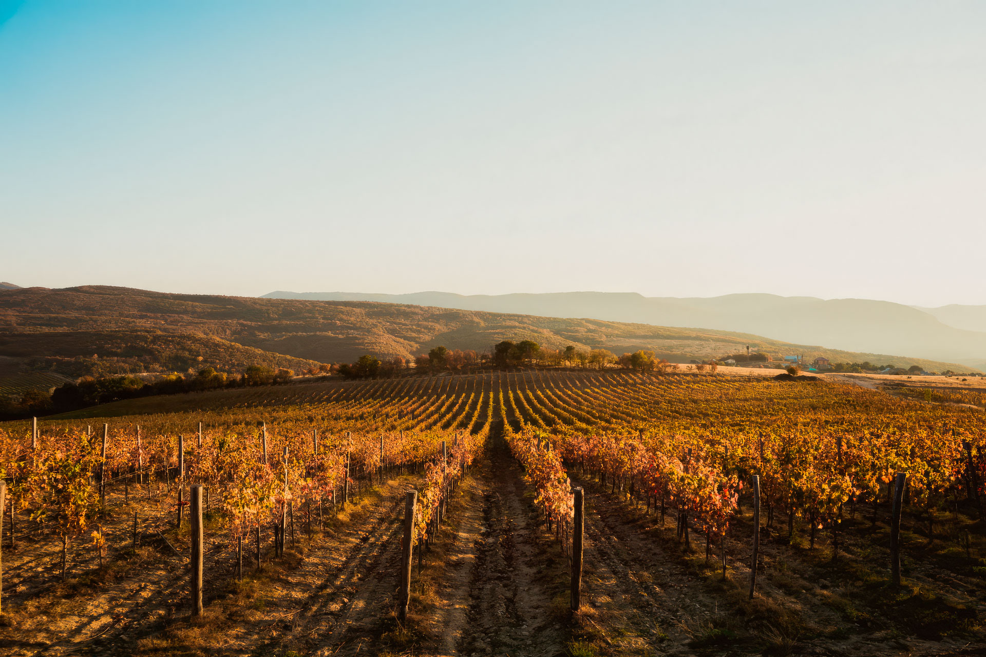 Винодельня Uppa Winery