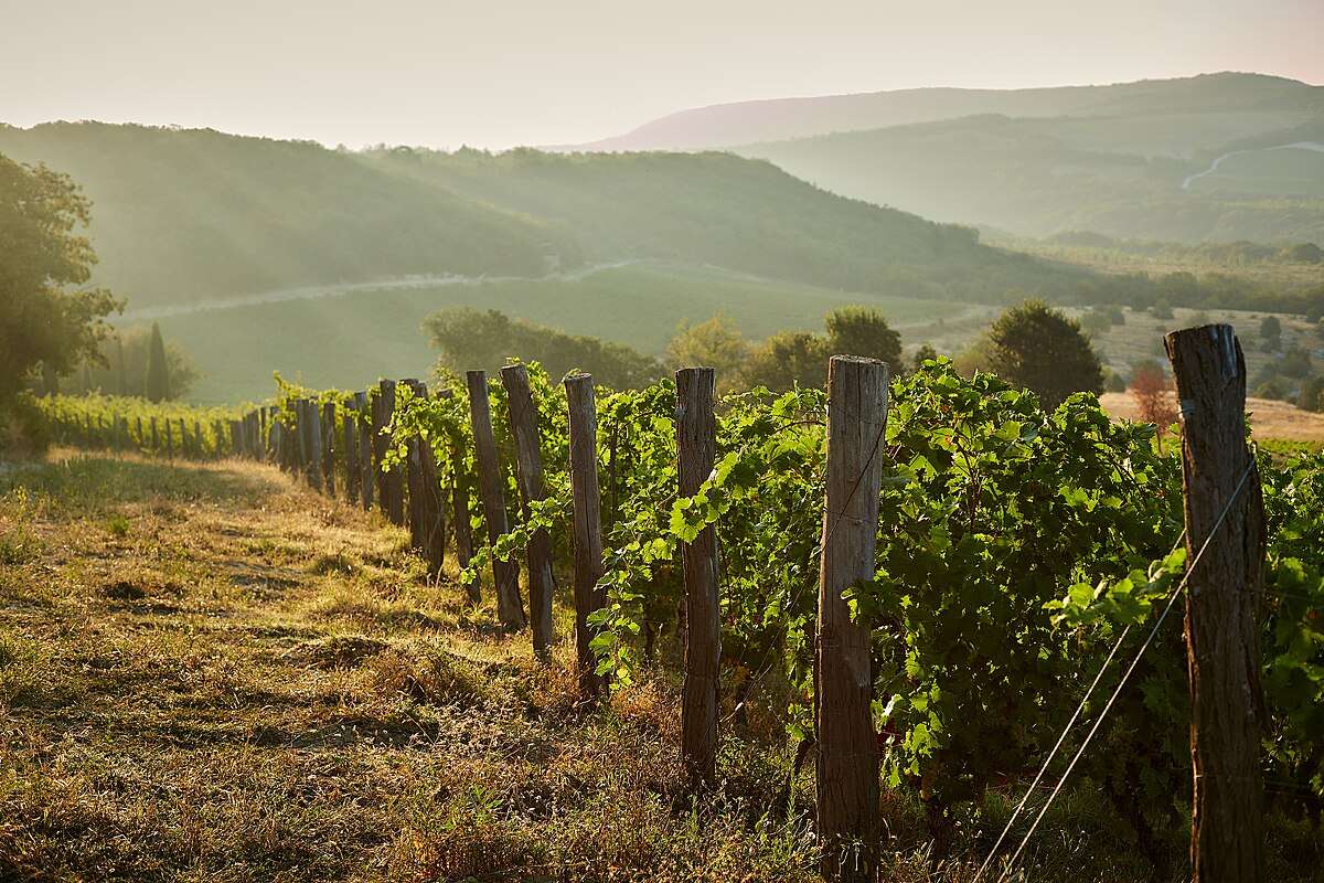 Винодельня Uppa Winery