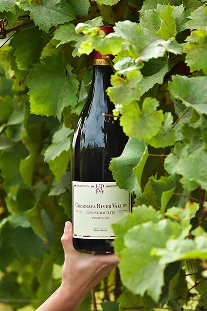 Вино Uppa Winery