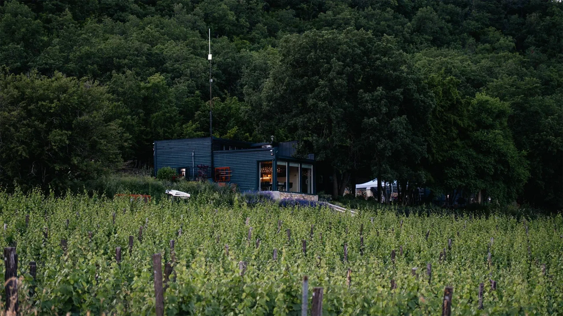 Винодельня Uppa Winery