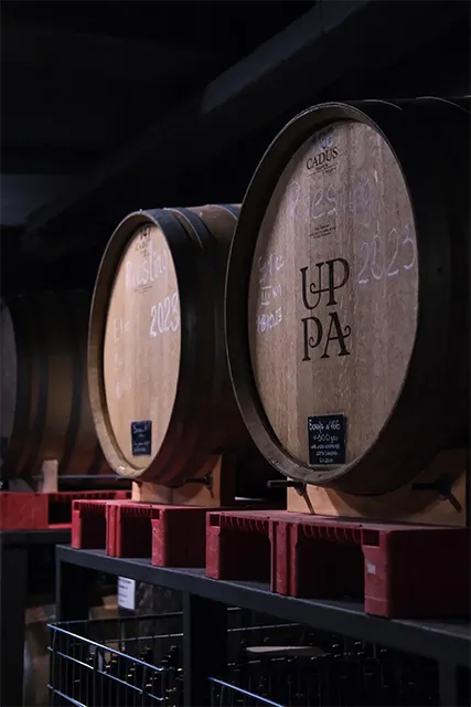 Бочки Uppa Winery