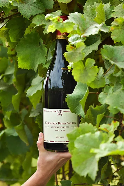 Вино Uppa Winery