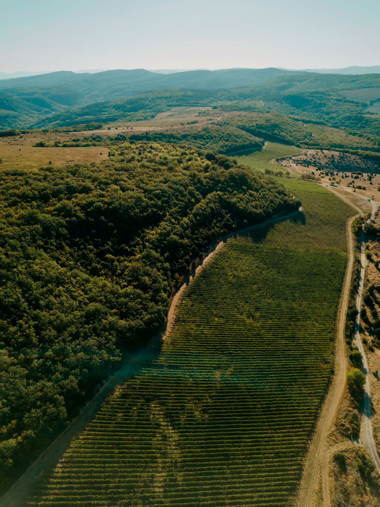 Экскурсии Uppa Winery