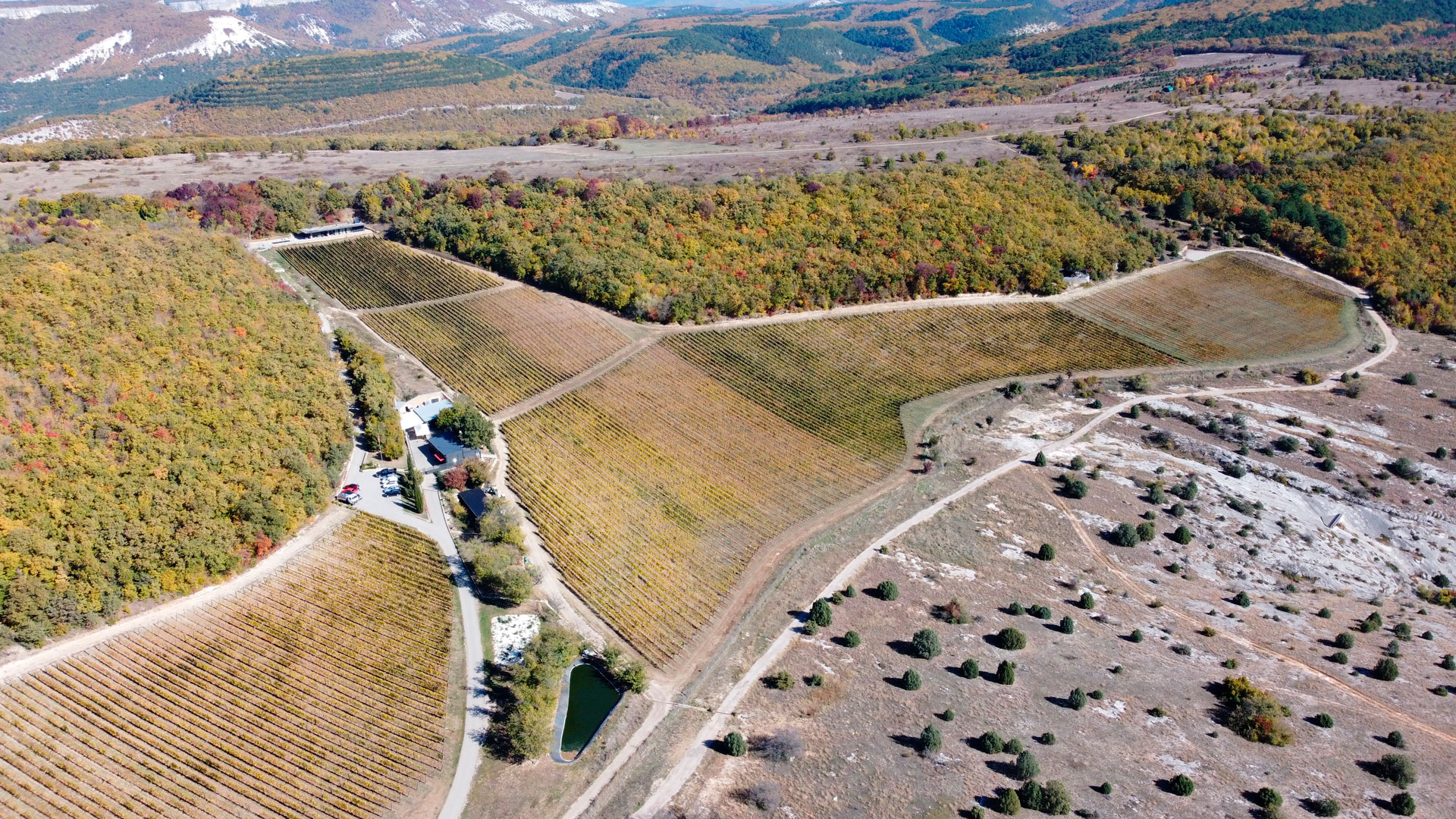 Магазин UPPA на винодельне