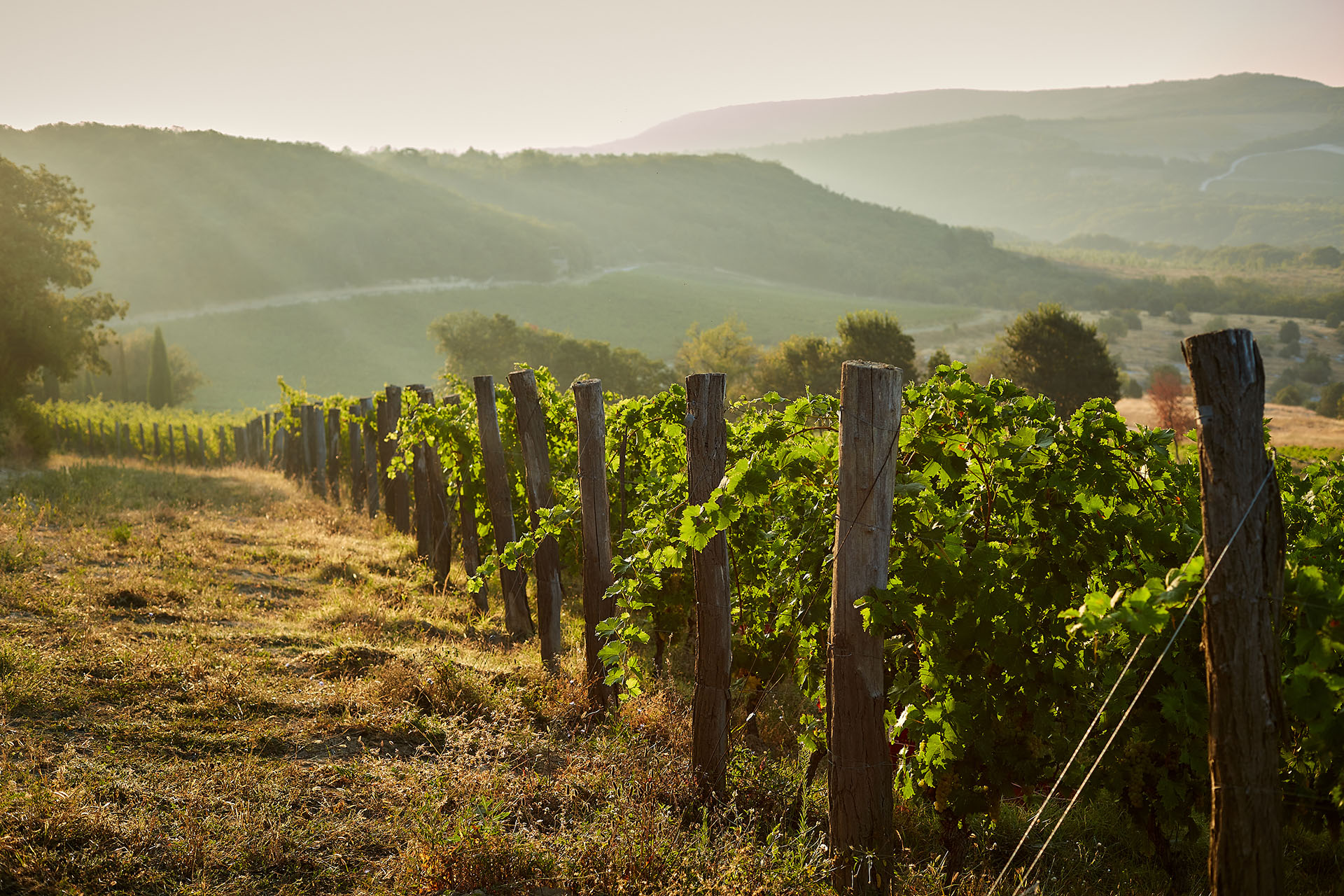 Винодельня Uppa Winery