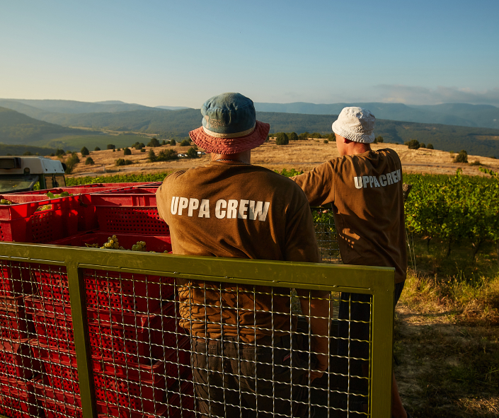 Команда Uppa Winery
