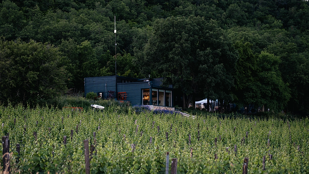 Виноградники Uppa Winery