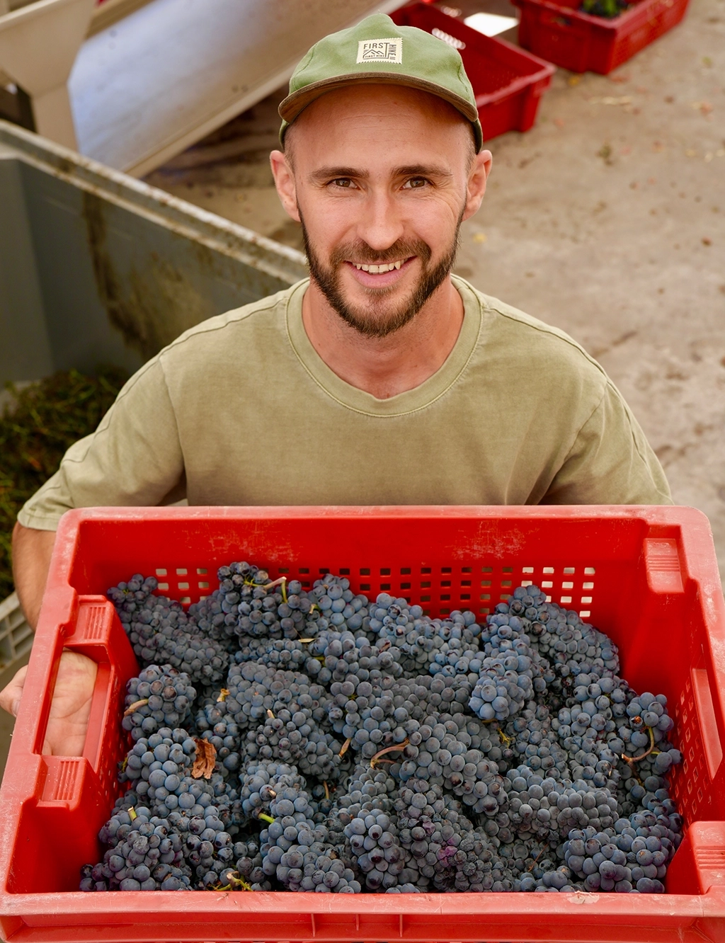 Производство Uppa Winery