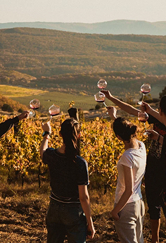 Uppa Winery