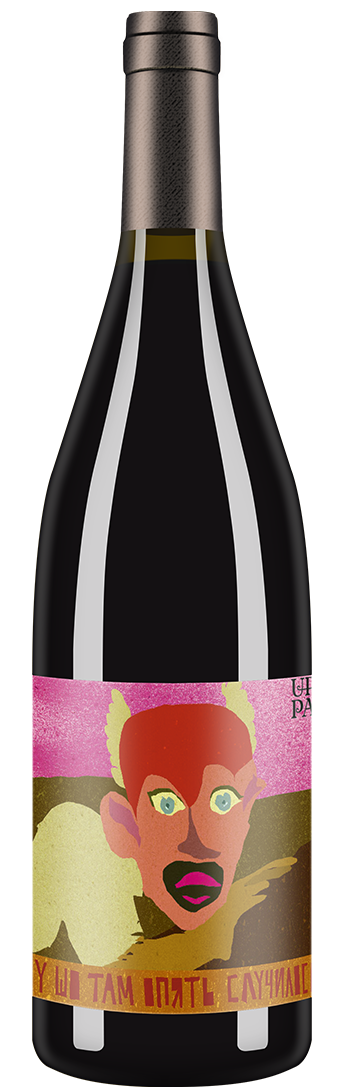 Pinot Noir «Ну шо там опять случилось?» 2017
