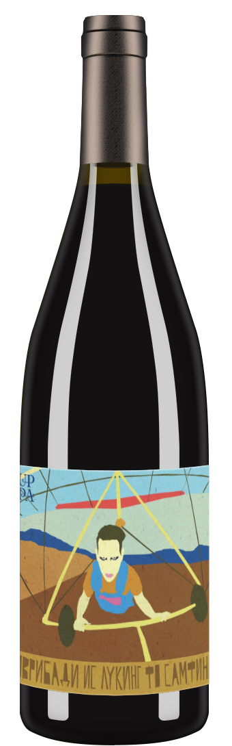 Barbera "Эврибади ис лукинг фо самфинг" 2017