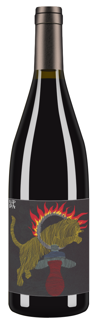 Cabernet Sauvignon 2019