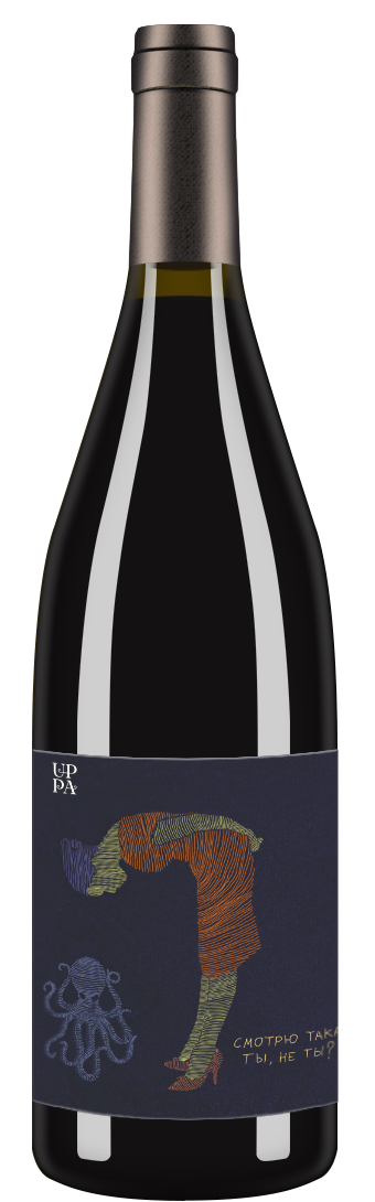 Pinot Noir «Смотрю такая ты, не ты» 2019